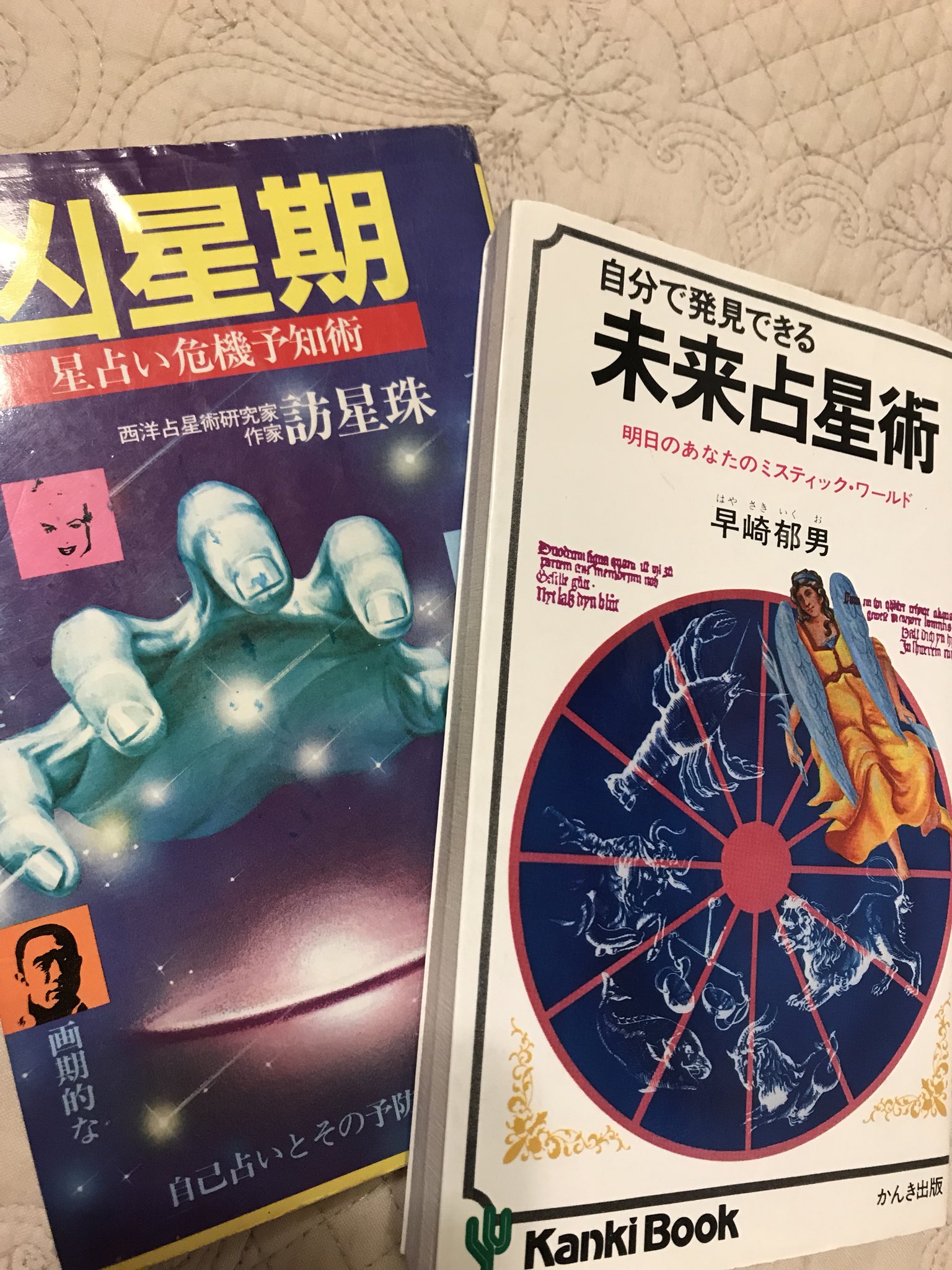 絶版本　未来予知占星術　世界占星学選集　エドナ・Ｃ・ラインベルド著　／　除籍本 絶版本 未来予知占星術 世界占星学選集 エドナ・C