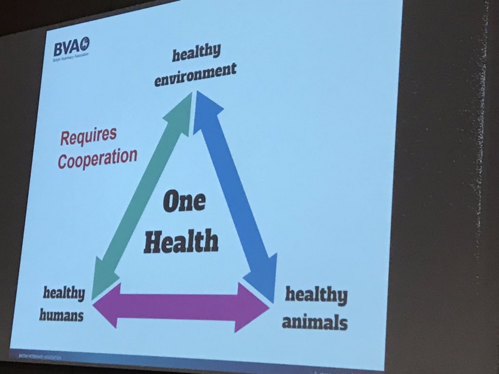 DrDianeAshiru's tweet photo. First plenary session at #abcAMR conf underway. Where are we with AMR in human & animal health - Dr Nick Brown of @BSACandJAC & @PHE_uk and John Fishwick past president @BritishVets
#AntibioticGuardian
#KeepAntibioticsWorking #EAAD
#WAAW2018 #WAAW18 https://t.co/IRIFeU44Li