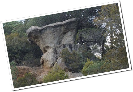 ClubOros's tweet photo. Falten 15 dies, 4 /12, per beneficiar-vos del descompte a la inscripció de la rogaine: 2a. La Gola O-Free: Mapa Nou (2017), La Gola (Dosrius),  
Per a gaudir de la Natura  i de l’Orientació 
en companyia dels amics i/o la família. 
https://t.co/8iCCzyRR4F https://t.co/brFun8ecyg