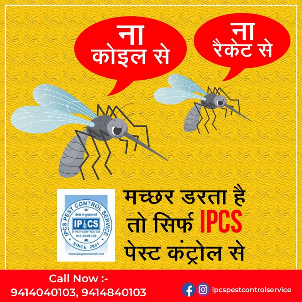 IPCSPest's tweet image. ना कोइल से,
ना रैकेट से,
मच्छर डरता है तो सिर्फ #IPCS_PEST_CONTROL से |

--&amp;gt;मच्छरों को भगाएं, स्वस्थ जीवन पाएं&amp;lt;&amp;lt;--
CALL: +919414010103

#mosqutiocontrol #pestcontroller #jaipur #healthylife #healthyhomes #pestfreehome #mosquitofreehome #termitecontrol #termitecontroller