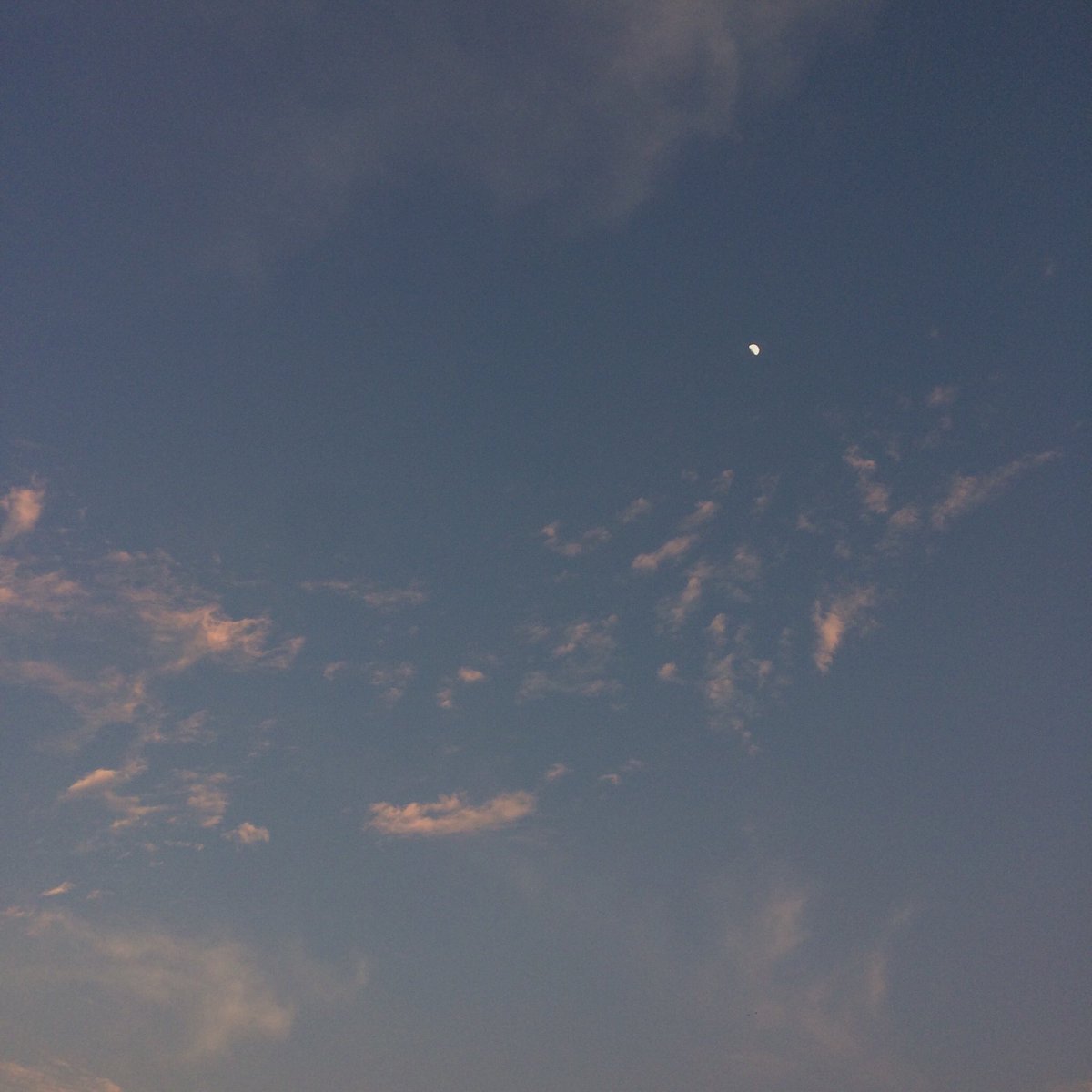 วันนี้ท้องฟ้าน่ารัก