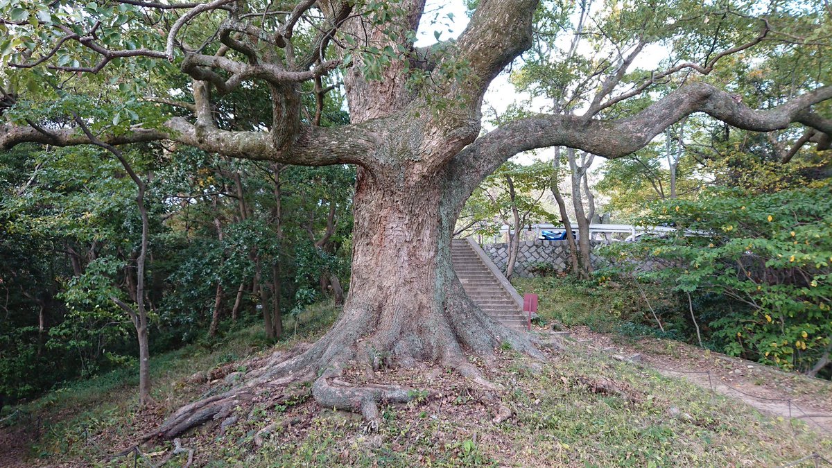 Magikarp_DAICHI's tweet photo. エエとこですわ https://t.co/pbEJB1qgP3