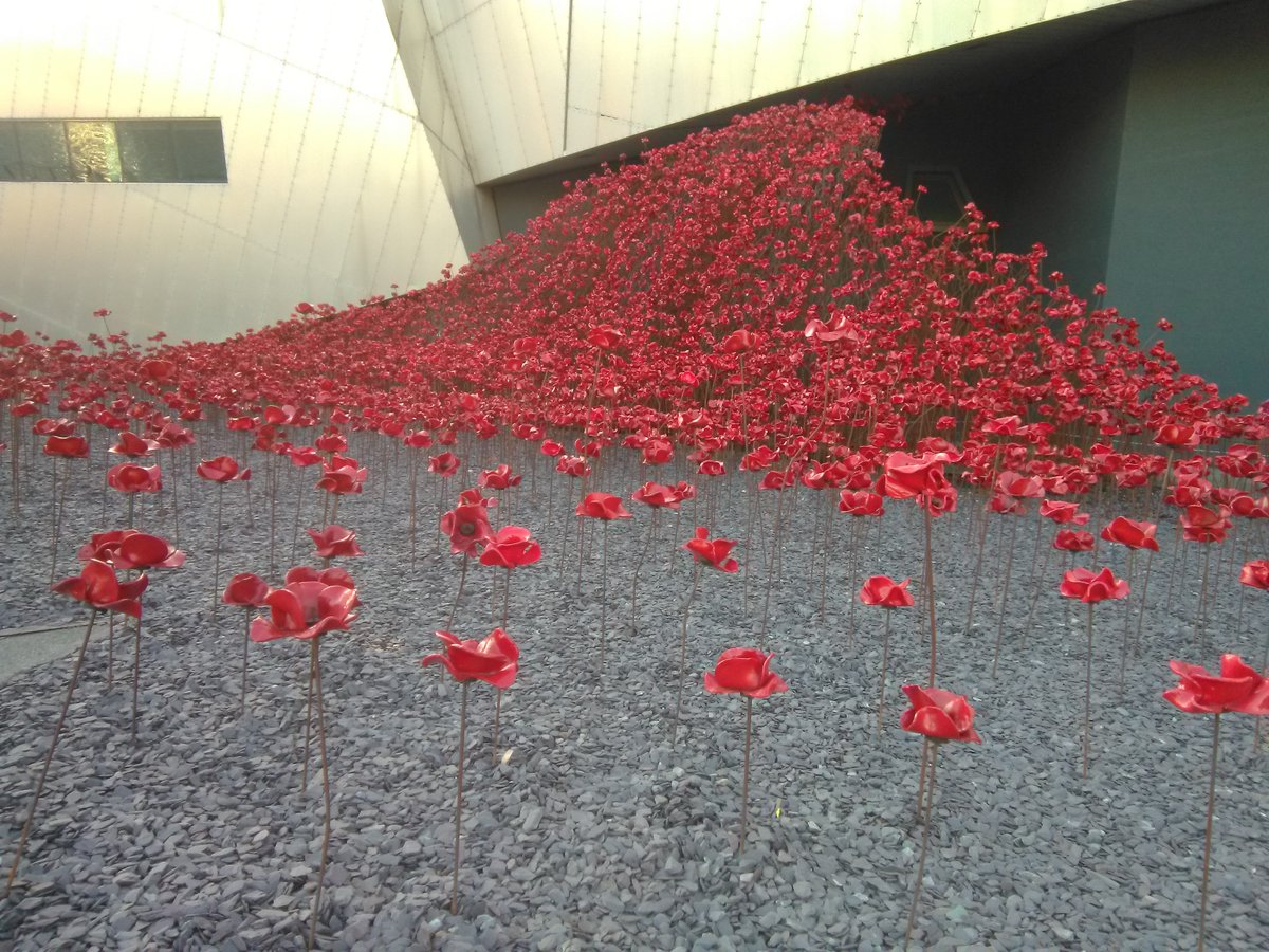 PoppyRob's tweet photo. Another gorgeous morning out on the Quays, a perfect time to come and enjoy Poppies: Wave @IWMNorth. The last day Poppies: Wave will be displayed is Sunday 25th November. Be sure to come and visit before then!
@MediaCityUK @The_Lowry @VisitTheQuays #PopVol2018 https://t.co/10jr5SMKjq