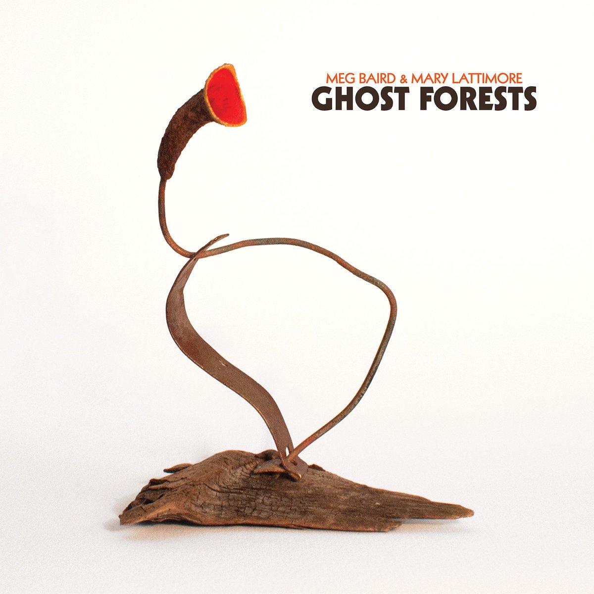 Bandcamp's tweet photo. This Week's Essential Releases: On "Ghost Forest," @meglingbaird and @marylattimore allow their songs to languidly unspool into expansive, mildly psychedelic soundscapes that feel both very old and timeless at the same time. https://t.co/j0QtBPrOoa https://t.co/46kA2QfLs7