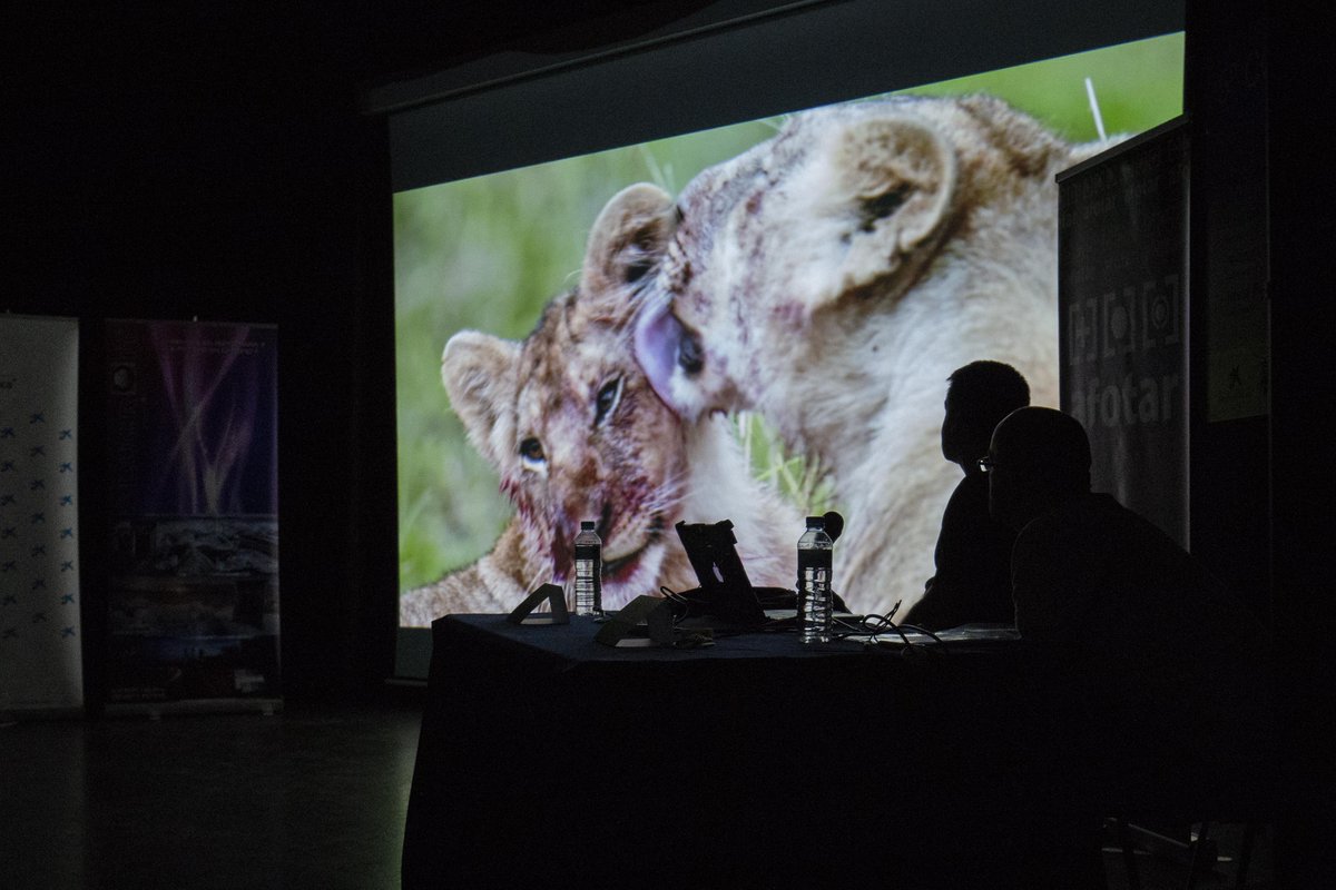 Asoc_Afotar's tweet photo. Disfrutando de las fotos de imágenes espectaculares de @liebanafotograf de fauna desde África hasta aquí cerca... la sierra de Madrid
#congresoAFOTAR #fotografía #naturaleza #retrato #paisaje #macro #photography #photo #TorrejonDeArdoz #solidario #AFOTAR #camara #fotografos https://t.co/R7DbfYjUlI