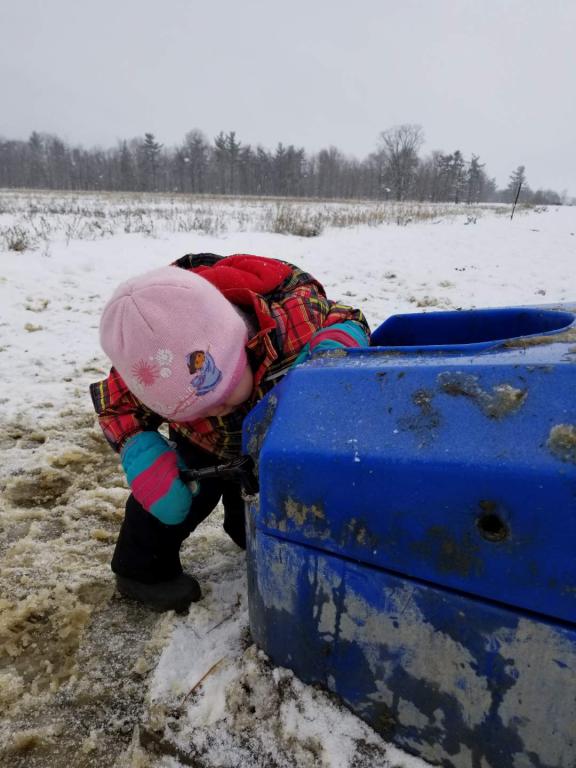 mccanntyler's tweet photo. Had to get expert advice this morning to fix a waterbowl. Luckily she got it all fixed up.

And she did it all with a smile on her face!

#rosbern #farmkidsarethebestkids #feelingblessed https://t.co/2g8EJid3BJ