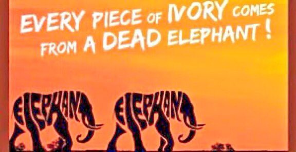 Give it a thought: 
If you buy IVORY, you've just created the demand 4 another elephant 2 be killed‼️😔
#poaching #ivoryfree #wildlifecrime #wildlifeprotection  🐘💖