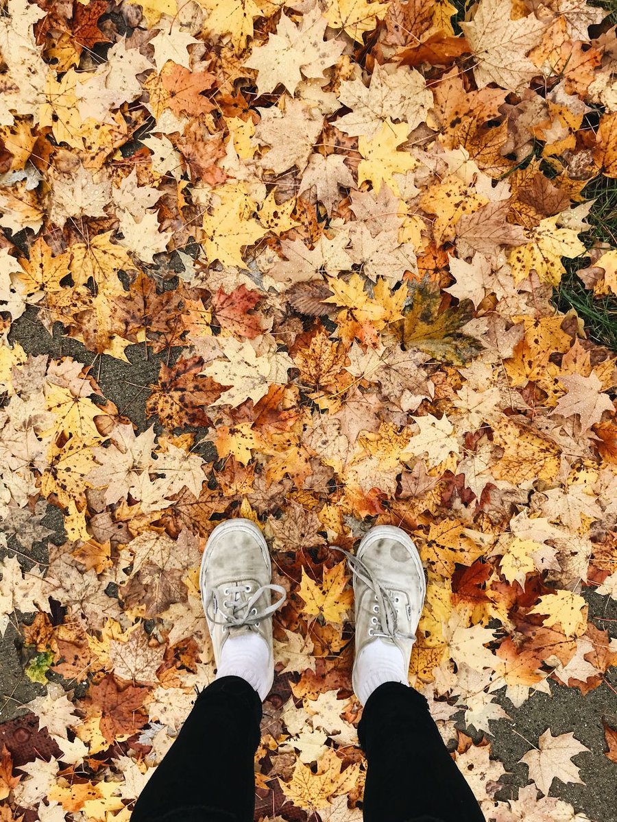 Persevere, 
Persevere, 
Persevere !
•⠀
(even if you step in a muddy puddle and your shoes get wet) 
•⠀
Find power and strength where you are; remind yourself that growth takes time and effort. We believe in you!