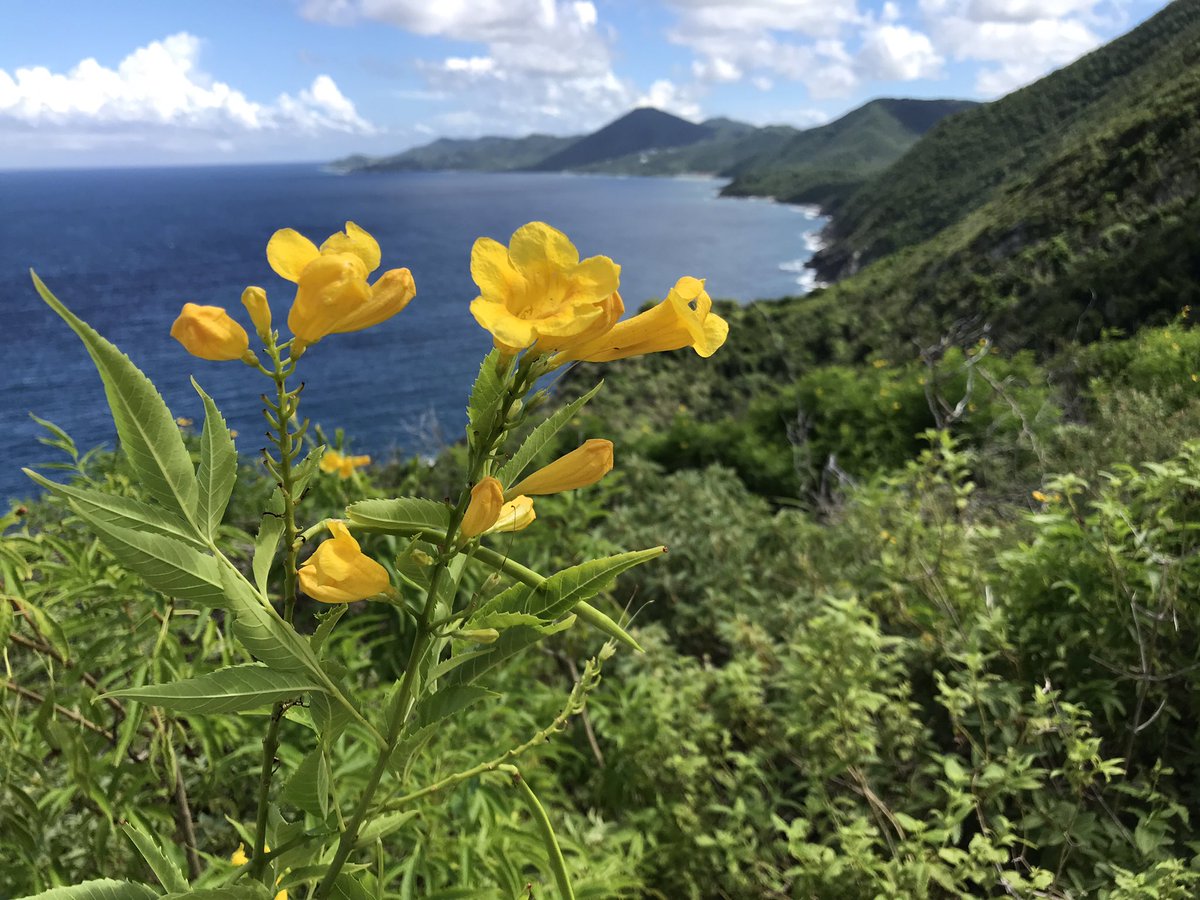 Seize_Todey's tweet image. Travel before you’re too old!!!!