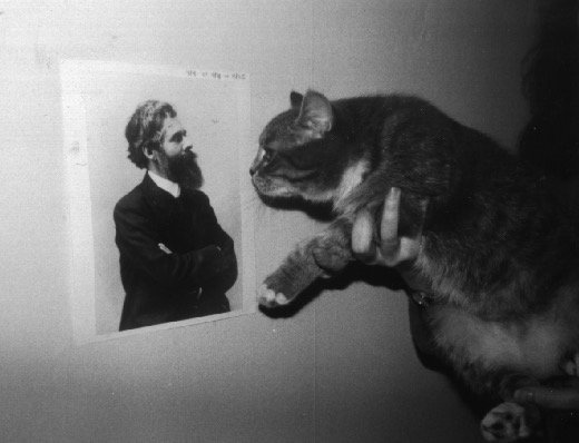 SearchUNIV's tweet image. From the annals of improbable research: Feline Reactions to Bearded Men. #Cats were exposed to photographs of bearded men. The beards were of various sizes, shapes, &amp;amp; styles. The cats&apos; responses were recorded &amp;amp; analyzed. improbable.com/airchives/clas… #crapdetection #magicalthinking