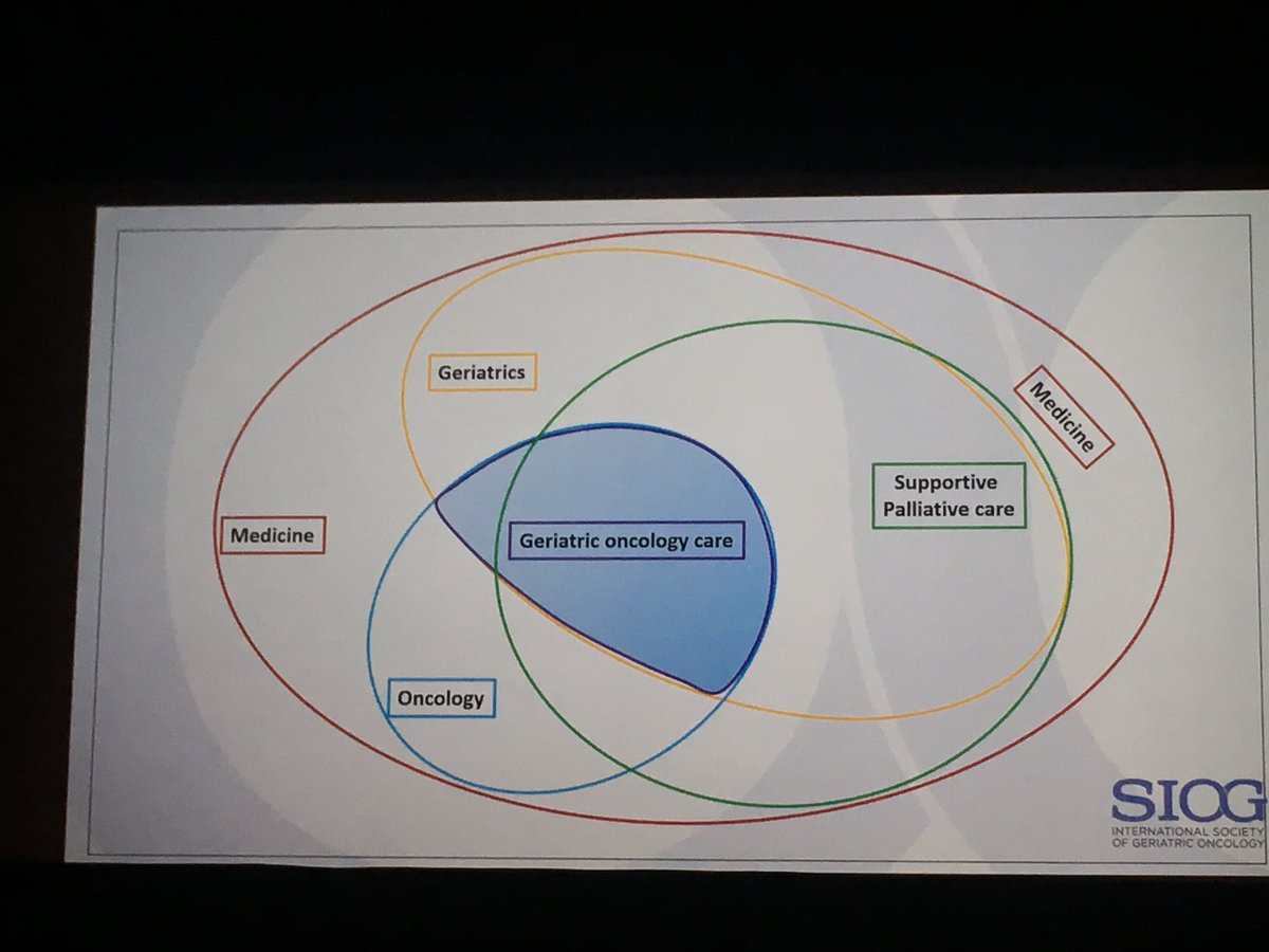 Heather73825979's tweet photo. Dr Gilbert Zulian describing overlap of geriatric oncology and supportive care #GeriOnc #Siog2018 https://t.co/lucAbtcbaL
