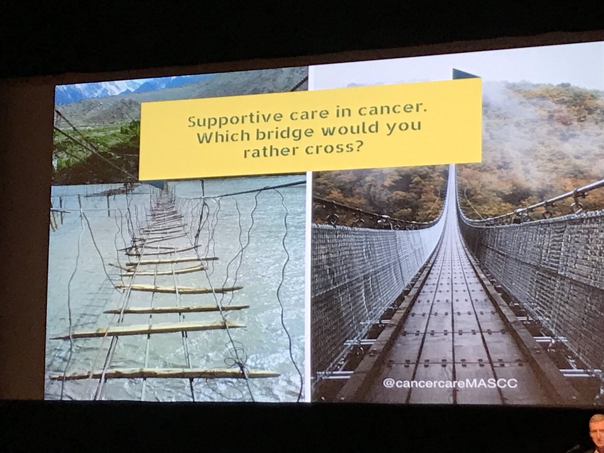 GrantWilliamsMD's tweet photo. Which bridge would you take on your cancer journey? The importance of supportive care in older adults with #Cancer @drcbsteer #SIOG18 #GeriOnc https://t.co/sgyPfdUISn