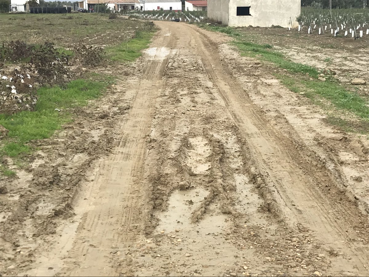 A_C_H_D_VALLE's tweet photo. @aytoecija Queremos denunciar el estado en el que se encuentra el camino rural de las Huertas del Valle #Ecija. Llevamos años reclamando el mal estado del camino y cada vez es más difícil circular por él. https://t.co/HiOjpQt7Bs
