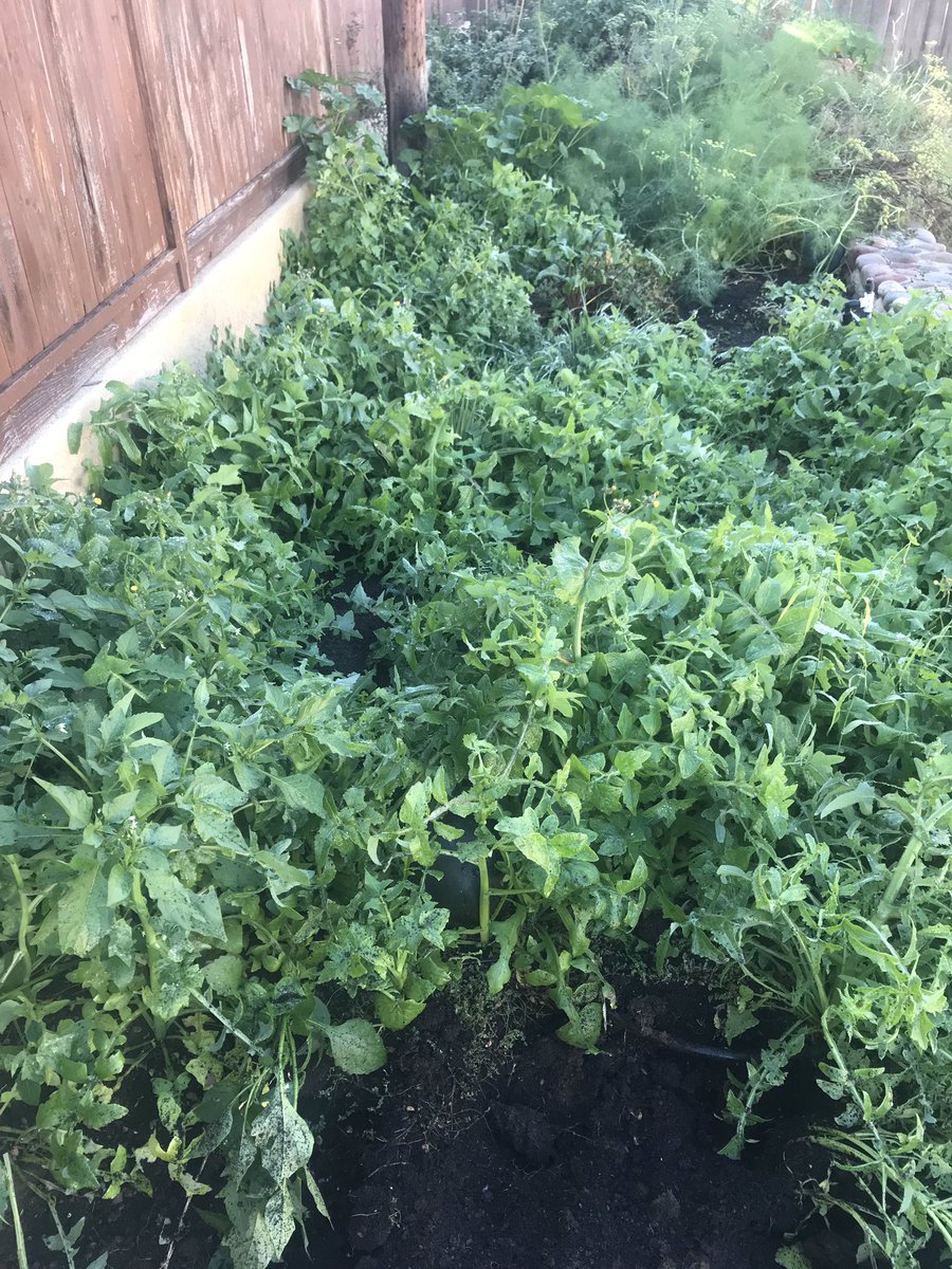 Jeff Johnson tweet media