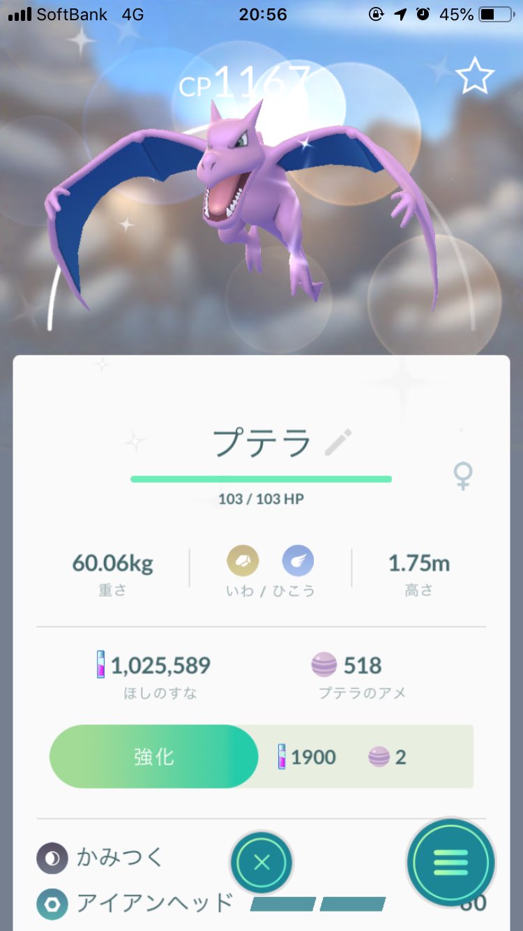 Kenjitchi またプテラの色違いがタスク報酬で出現した 以前のプテラタスクで2体捕まえてるからもういいのに 他のタスクから色違い出てくれ ポケモンgo プテラ色違い T Co B0tgkrvmv0 Twitter