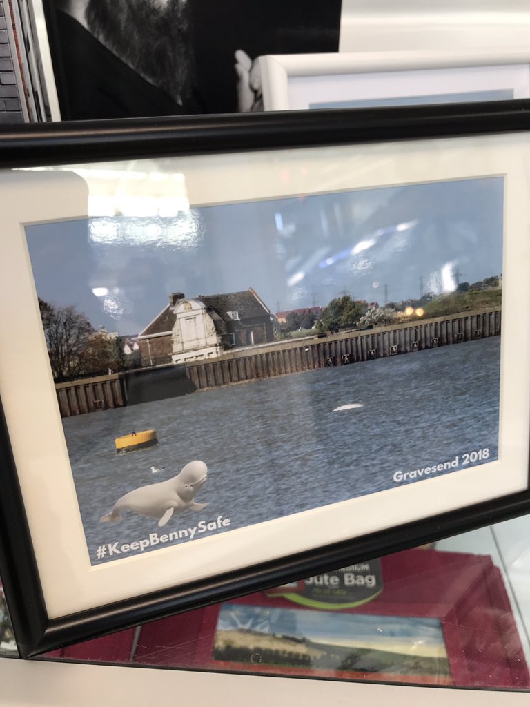 GravesendMarket's tweet photo. This weekend thereβs some great photography on display and for sale in our #PopUpGallery in the market. Thereβs even some #BennyTheWhale #KeepBennySafe prints https://t.co/Lz9pJSzgnG