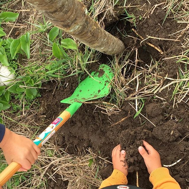 steam228's tweet image. Building a Fence #digdigdig ift.tt/2DJzQOj