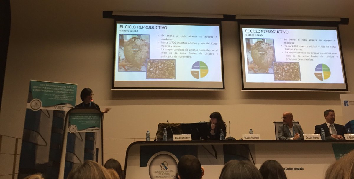CarmenMariaAC's tweet photo. Interesantísima la ponencia de estas dos biólogas vascas acerca de la Vespa Velutina #SGAIC2018 https://t.co/FXJTU9t7Z7