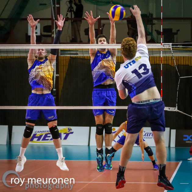 RoyM_Photo's tweet photo. @CanberraHeat Men continue the @AusVolleyLeague  season with a match against UTSSU Shield at the AIS on Saturday.
Full gallery of photos at:
https://t.co/XjzNCfMKqf https://t.co/azi2ea4YM0
