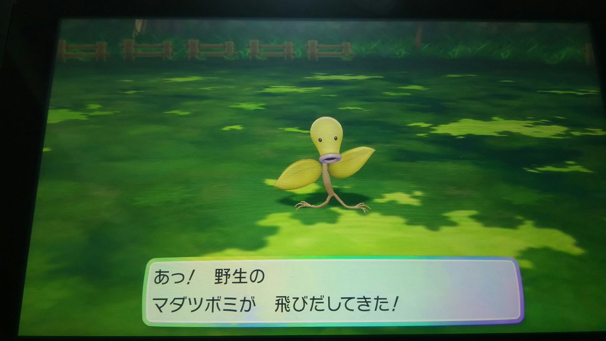 コウキ ガラル色31 80種類 銀さーん 色マダツボミおめでとうございますー O 早速ピカブイで光らせるとはすごいです ๑ 口 ๑ 笑 僕も序盤はトキワの森でしばらくウロウロしてたのでお気持ち分かりますww コウキ ガラル色31 80種類 銀さーん 色マダツボミおめでとうございますー O 早速ピカブイで光らせるとはすごいです ๑ 口 ๑ 笑 僕も序盤はトキワの森でしばらくウロウロしてたのでお気持ち分かりますww