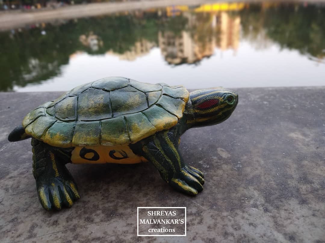 smmcreations's tweet photo. All the Turtle lovers out there,
Presenting completely handmade life size baby 'Red eared slider turtle'.
#smmcreations #handmade #handcrafted #turtle #sliderturtle #redearedslider #animals #reptiles #toyanimals #toyphotography #sculpture #miniature #toymaker https://t.co/i2WfyQACOF