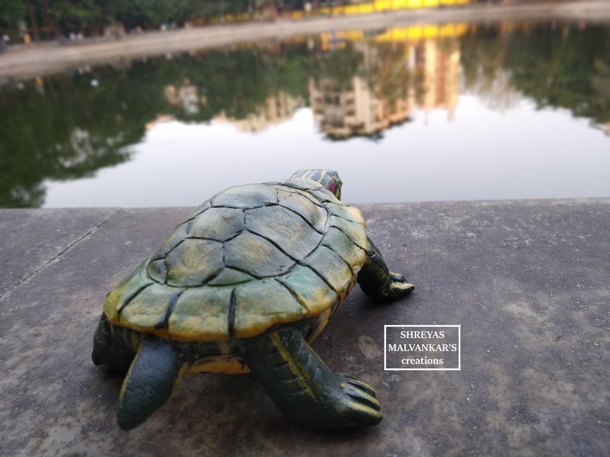 smmcreations's tweet photo. All the Turtle lovers out there,
Presenting completely handmade life size baby 'Red eared slider turtle'.
#smmcreations #handmade #handcrafted #turtle #sliderturtle #redearedslider #animals #reptiles #toyanimals #toyphotography #sculpture #miniature #toymaker https://t.co/i2WfyQACOF