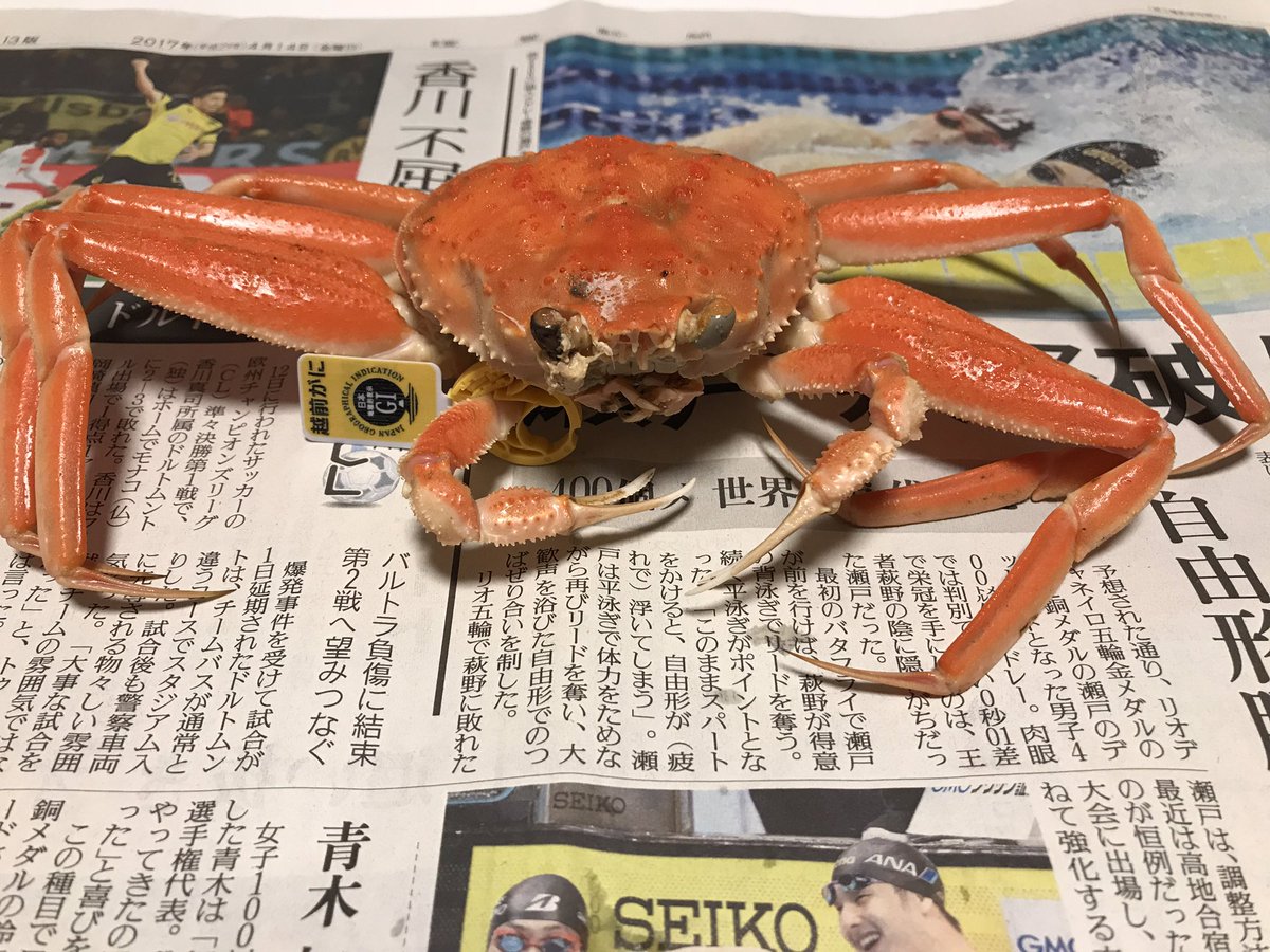 falcon096's tweet photo. 今季初カニ https://t.co/tMglqzdO3k