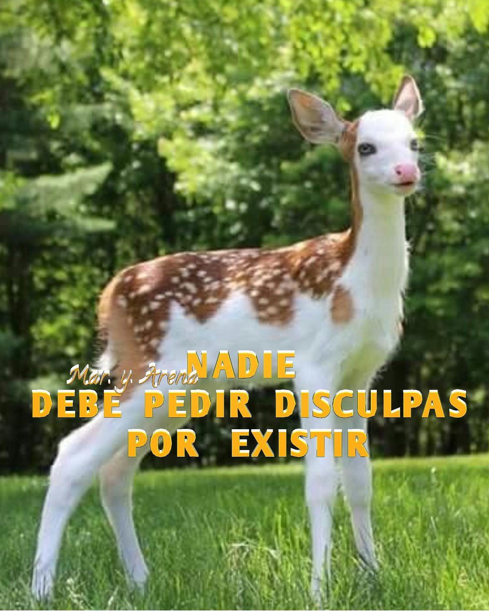 AdelitaPych's tweet photo. https://t.co/6kQDXGlPqg
