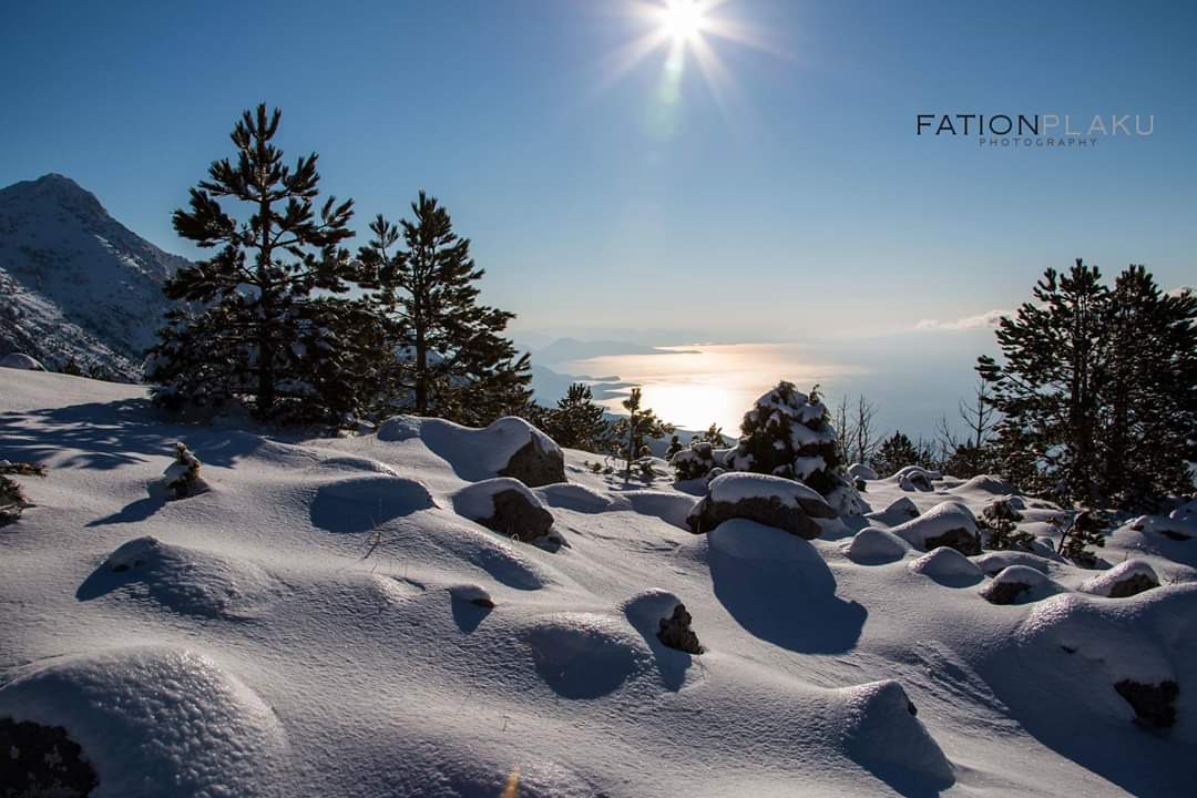 fationplaku1's tweet photo. Discover Albania
#discoveralbania #visitalbania #nature #followme #backpacking #twitter #travel #drone #dji #outdoorphotography #wanderful_places #naturephotography #twitter #exploremore #beach #sea #outdoor #caves #tirane #photooftheday #canon #LetsExplore #underwater #suiming https://t.co/zryxlov7df