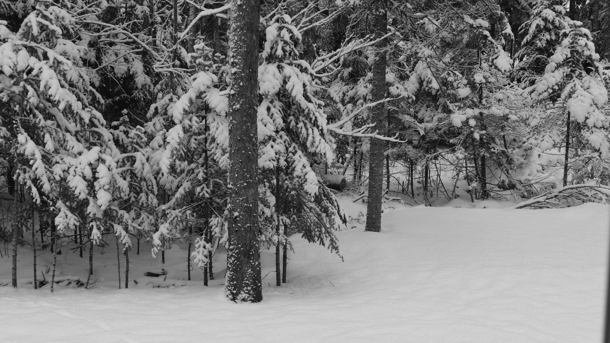 Day 5/7 #mylifeinblackandwhite B&amp;W photos for 7 days, no explanation, no humans