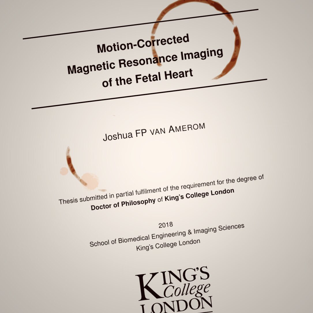 Joshua van Amerom tweet media