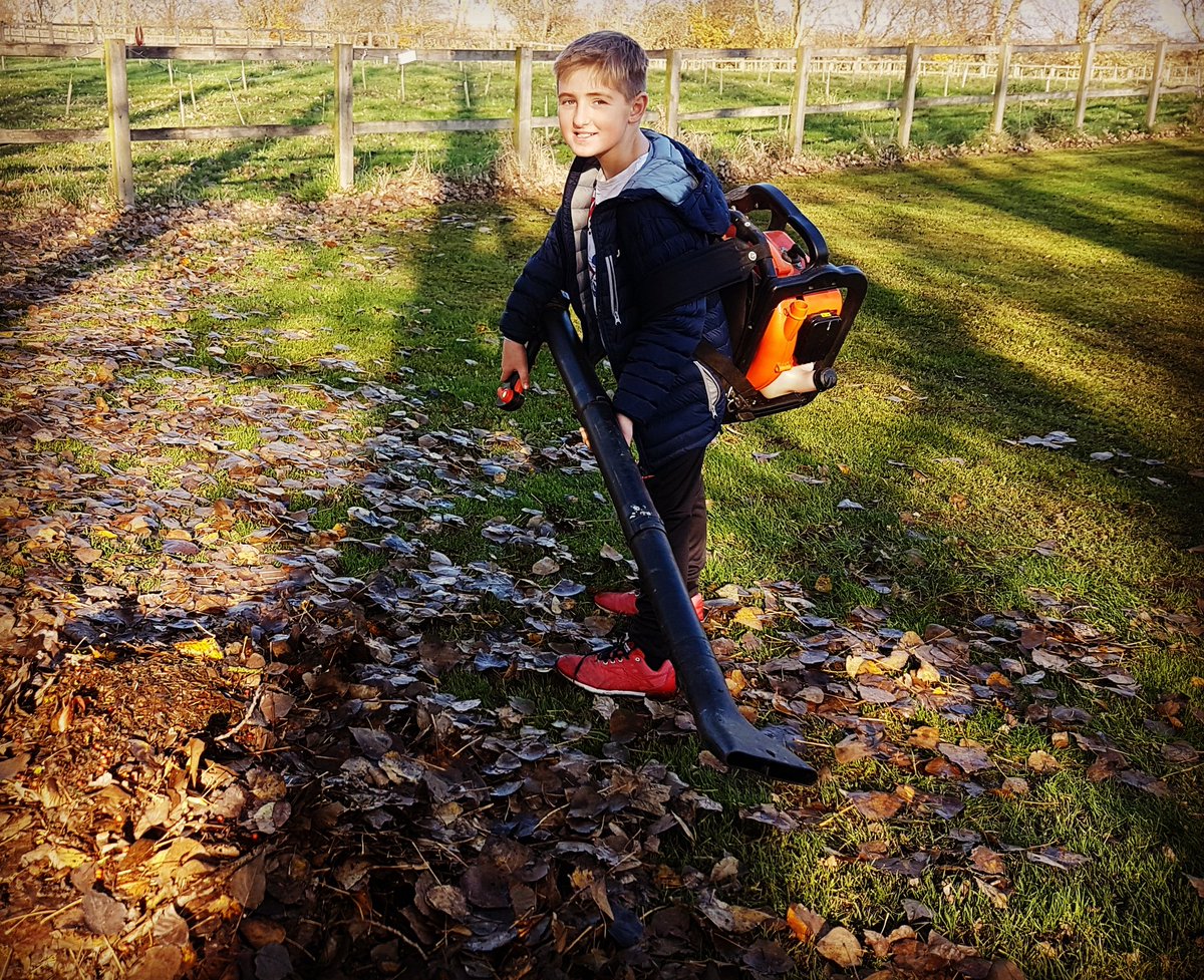 Max de-leafing the party paddocks. #autumnjobs #leafblower  #kidswithpowertools