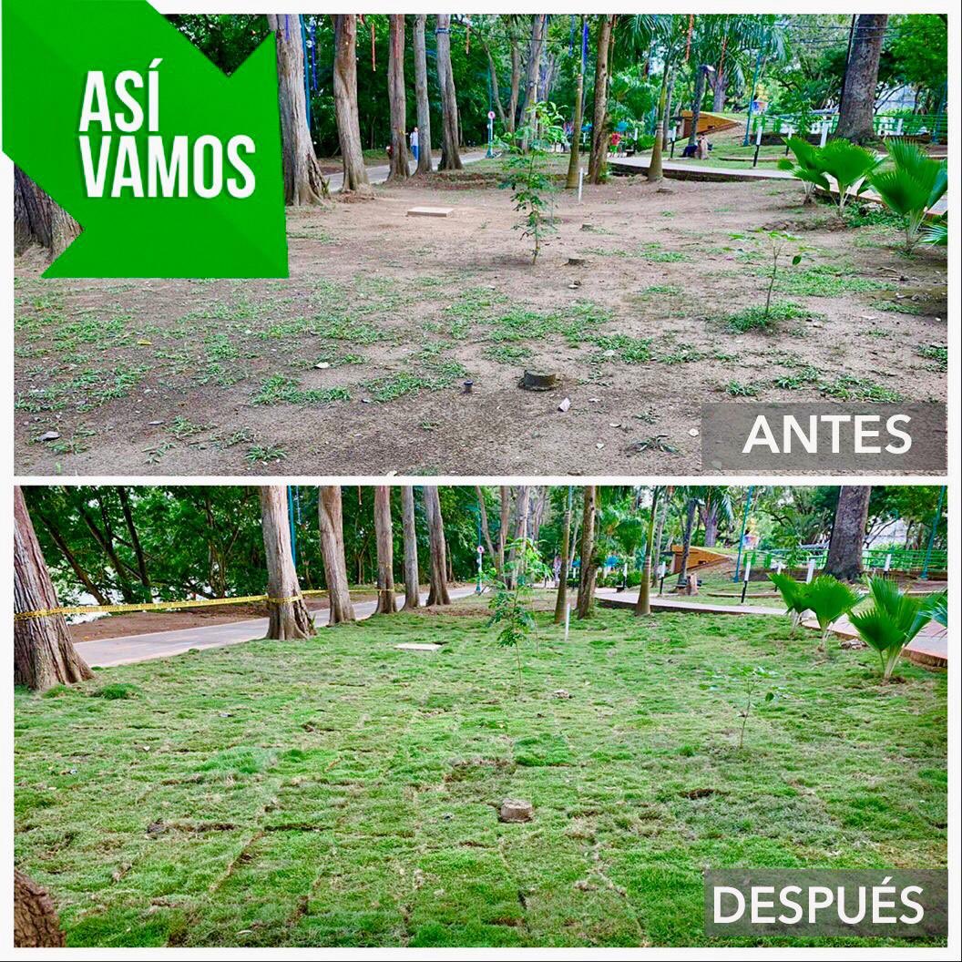 Marcos Daniel🌳 tweet media