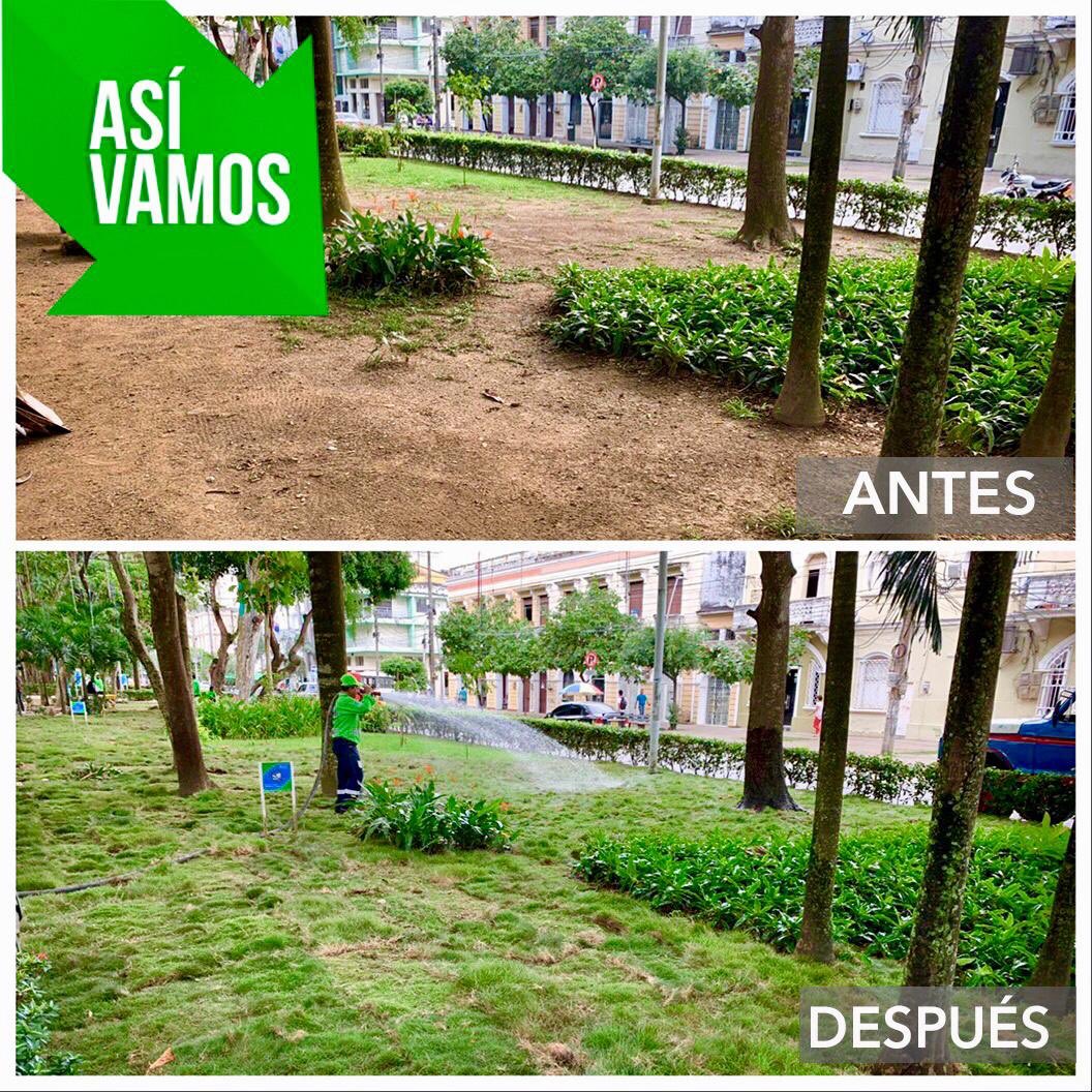 Marcos Daniel🌳 tweet media