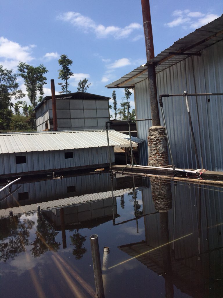 ikannya gak kelihatan