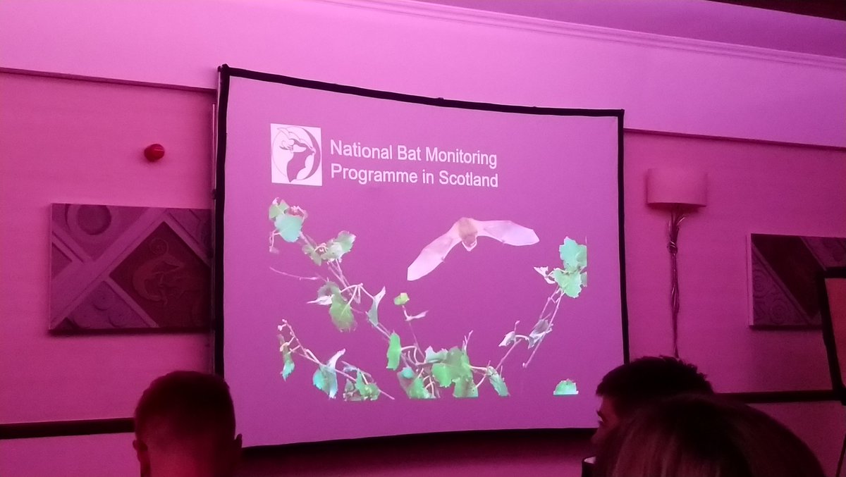 TragusTraining's tweet photo. Overview of #NationalBatMonitoringProgramme by Philip Briggs of @_BCT_. 4 main #NBMP #surveys: #hibernation, #roostcount, #waterways & #fieldsurvey. Sufficient data for trends on #Daubentons, #Natterers, #banditpip &#sopranopip in #Scotland. More #volunteers please!
#ScotBatConf https://t.co/It2XjruixW