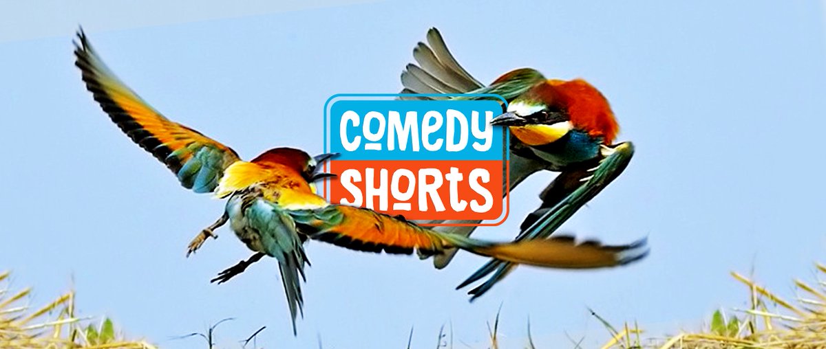 ComedyShortsBER's tweet photo. Tonight! Get out of the cold and into 800A for some short-form improv!
Event page: https://t.co/BDie85SgyA #comedy #improv #berlimprov https://t.co/HkzfSTgPUN