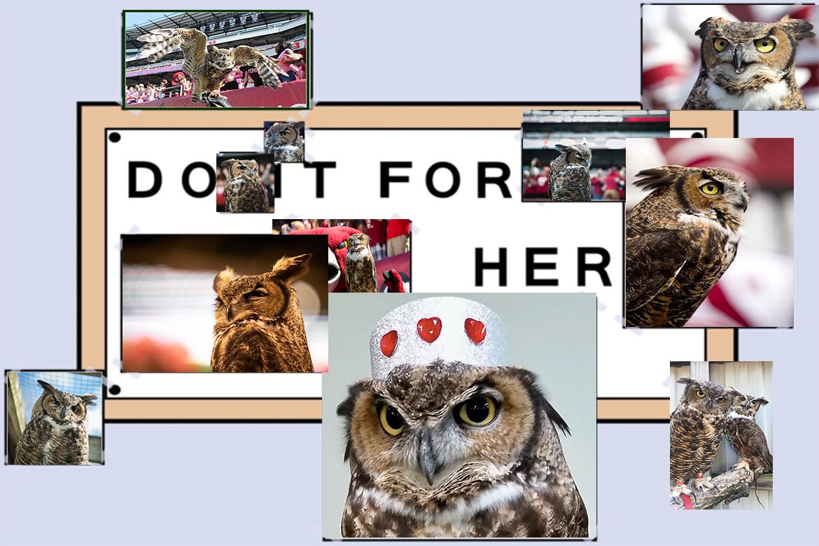 TUDMBTrumpets's tweet photo. #GoOwls #DoItForStella 🦉🍒🦉 https://t.co/qJJakXHabY