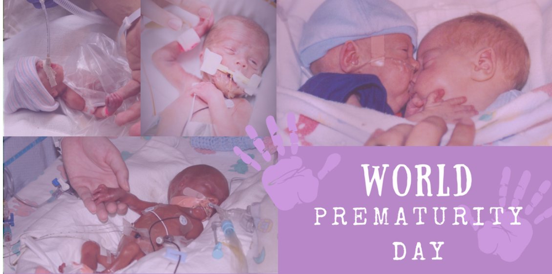 Bee Mighty tweet media