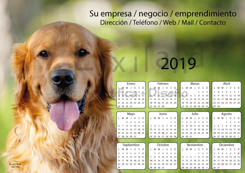 Lixiland's tweet photo. #Almanaques #Calendarios 2019 Imantados Personalizados. DIferentes tamaños. Temáticas #Paisajes #Animales 
👉 https://t.co/VQaTfVtCPg 👈
#BuenSabado #Submarino #AraSanJuan #Patria #FelizSábado #SabadoDeGanarSeguidores #Grafica #Lixiland #Publicidad #44Heroes #DiaDeLaMilitancia https://t.co/Lb9dqR2MbR
