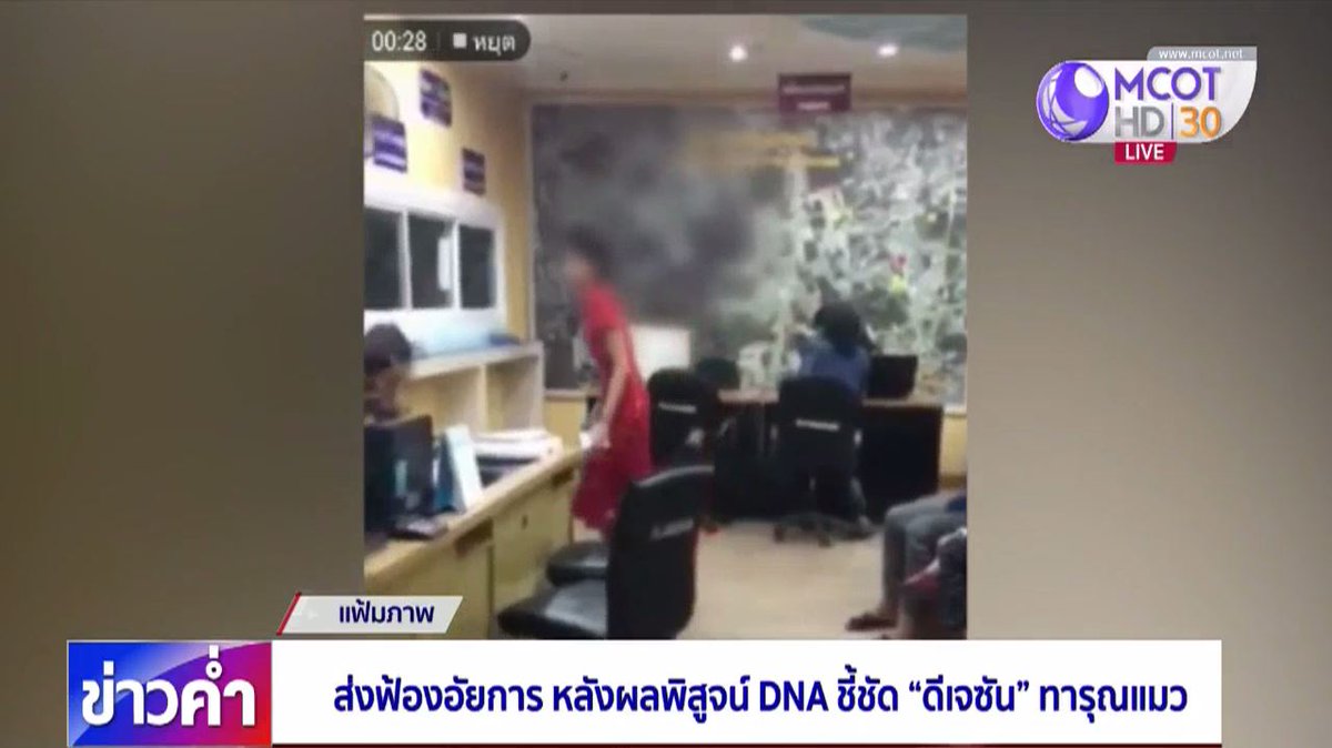 TNAMCOT's tweet photo. ตำรวจส่งสำนวนฟ้อง "ดีเจซัน" ข้อหาทารุณกรรมสัตว์ ให้อัยการ หลังผลตรวจดีเอ็นเอยืนยันชัดดีเจสาวทารุณแมว อีกทั้งในห้องพักยังพบดีเอ็นเอของแมวอีกตัวที่อาจเคยกระทำทารุณก่อนหน้านี้ ► https://t.co/BPgR2wfazE https://t.co/2avIPjVOdf