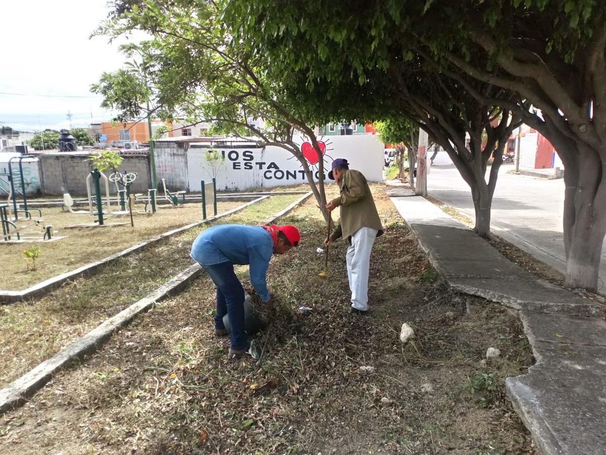 TuxtlaCapital's tweet photo. Brigadas de Imagen Urbana dando el mejor de sus esfuerzos para mantener en buen estado nuestros espacios públicos y áreas verdes como el boulevard del periférico sur poniente, Parque Campanario y Fraccionamiento San Juan.

#TuxtlaCiudadDigna
#CarlosMorales https://t.co/VTJmVYNHN0