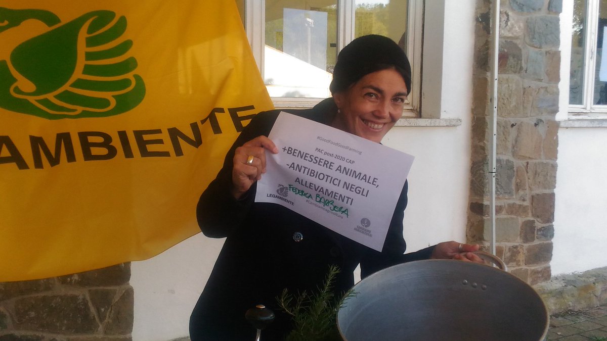 Federica Barbera tweet media