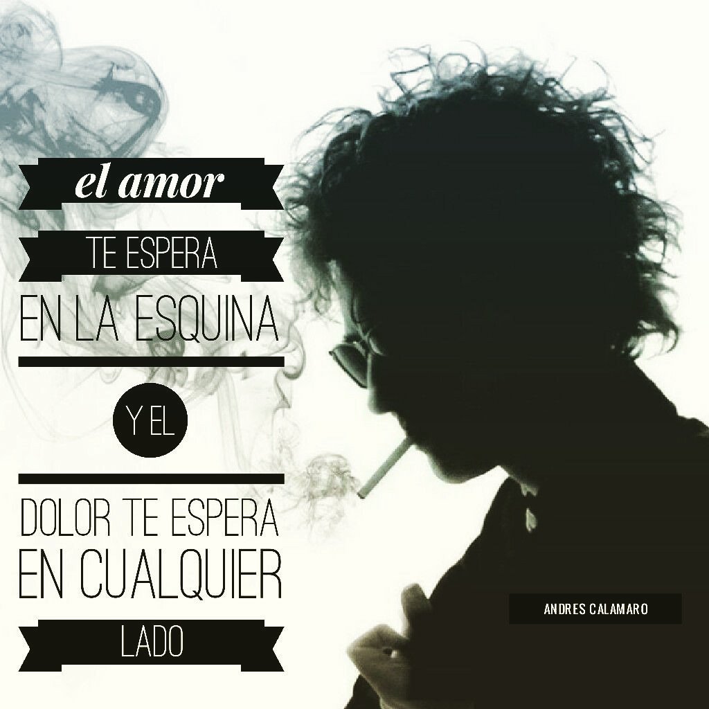 acalamaroquotes's tweet photo. Porque el amor te espera en la esquina y el dolor te espera en cualquier lado... #acalamaroquotes https://t.co/DFtRh74aZw