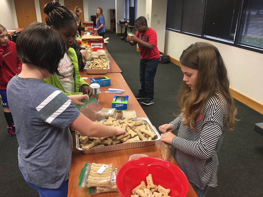 GranbyGators's tweet photo. It’s a great morning for our character ambassadors to help out four-legged friends in need!  #sedonagracefoundation @wcsdistrict #itsworthit https://t.co/ETMB8au2zh