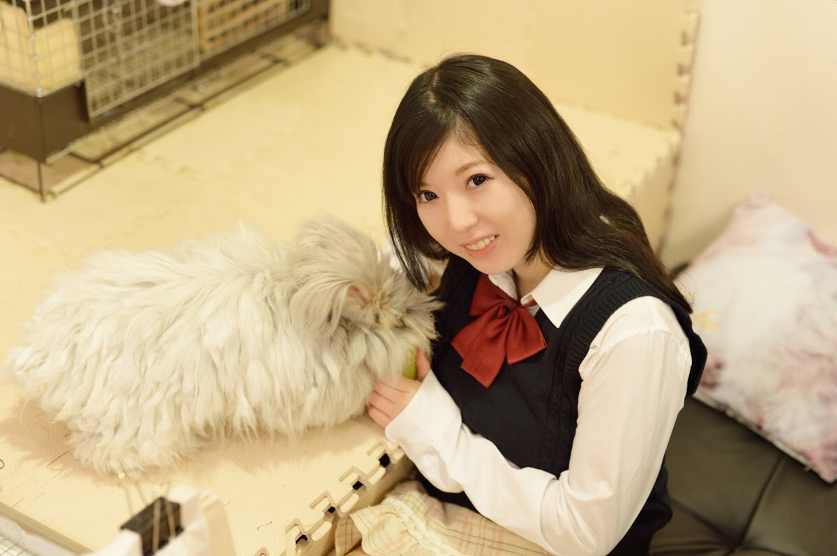 うさゆ 大阪うさぎと小動物のカフェ Usayu3 Twitter うさゆ 大阪うさぎと小動物のカフェ Usayu3 Twitter
