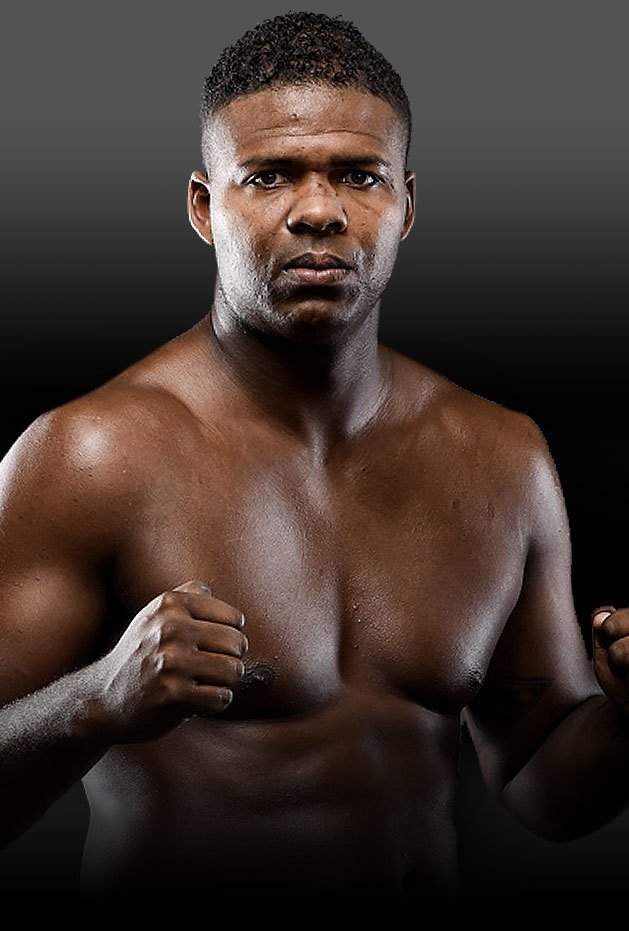 Ahoy Rotterdam 8 December, 8 Heavyweights one Tournament one Evening