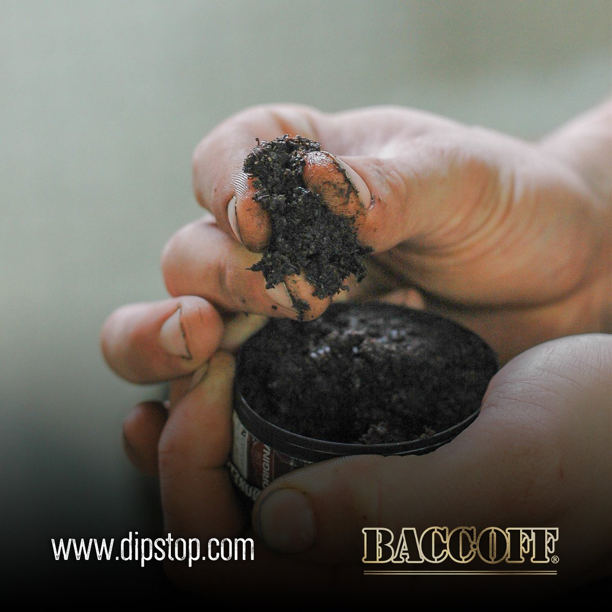 BaccOff_Snuff's tweet photo. Dipping tobacco is not a good alternative to smoking. Some moist snuffs and chew contain higher levels of nicotine than cigarettes (or dippers use more tobacco in one use) so it's a much stronger addiction. There is NO safe way to use tobacco. #spitblack #packalip #baccoff https://t.co/4gFMgx7v3f
