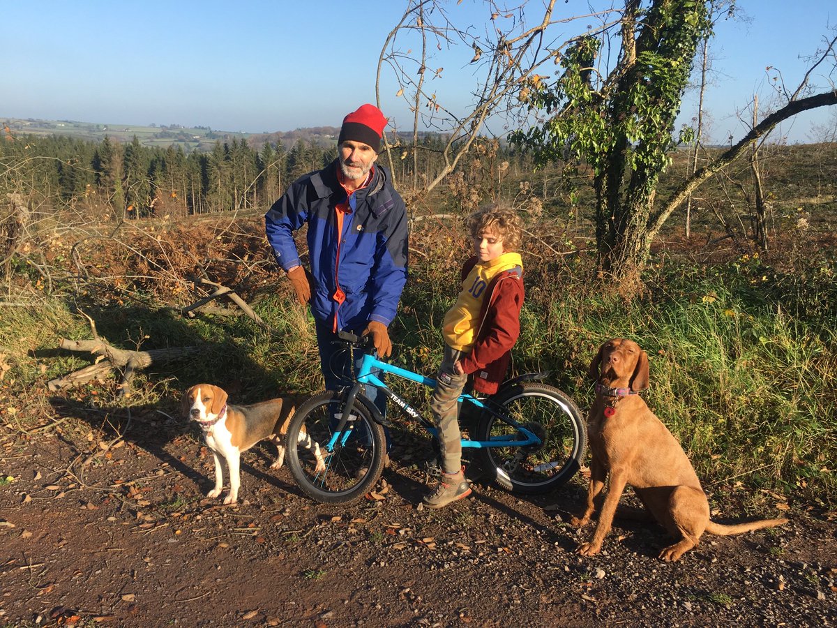 Rachel Hiscox tweet media