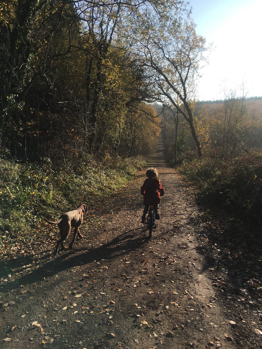 Rachel Hiscox tweet media